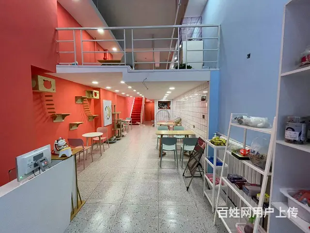 南岗 哈西万达金街商铺出兑 猫咖出兑 宠物店饮品店出兑 - 图片 3