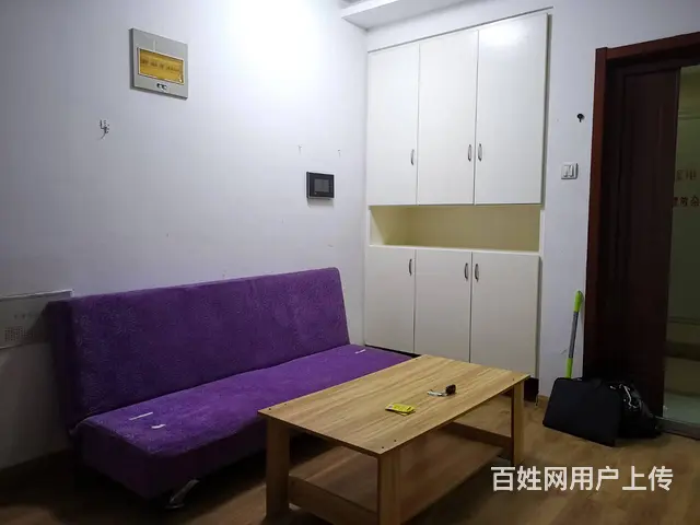 滨湖假日翰林园两室一厅出租 - 图片 6