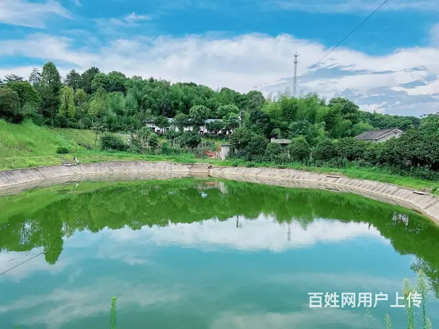 （老板本人）望城独门独院农家乐露营基地招租（可合作经营） - 图片 10