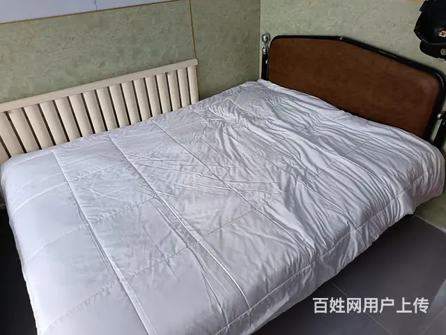 东湾半岛四区房屋出租 - 图片 1