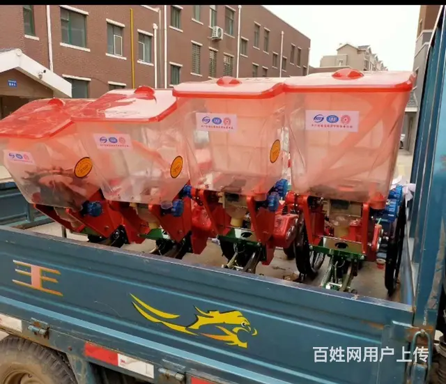 播种抖 - 图片 1