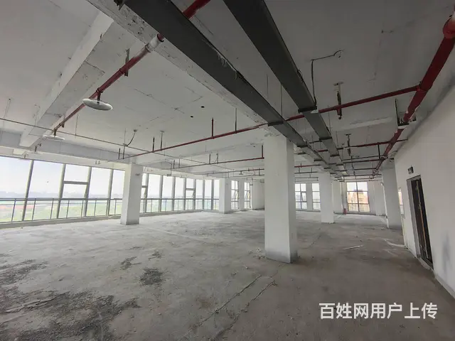 金龙湖旁软件园150到1000平纯办公一手现房 - 图片 11