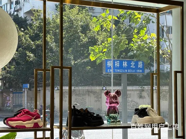 桐梓林金铺房东直租 - 图片 7