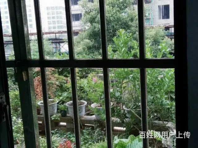 地铁房柠檬丽都(天心-桂花坪) 普通住宅0厅 简单装修 - 图片 3