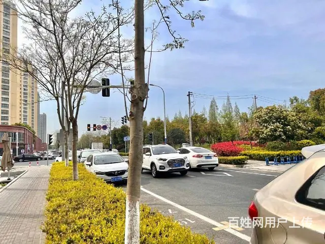 一拖二单价9300起旺铺！钟楼区龙湖天街旁御水华庭 沿街商铺 - 图片 12