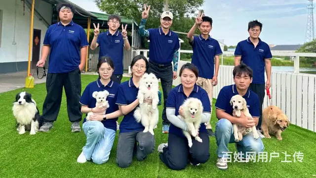 常熟训犬基地宠物寄养 - 图片 6