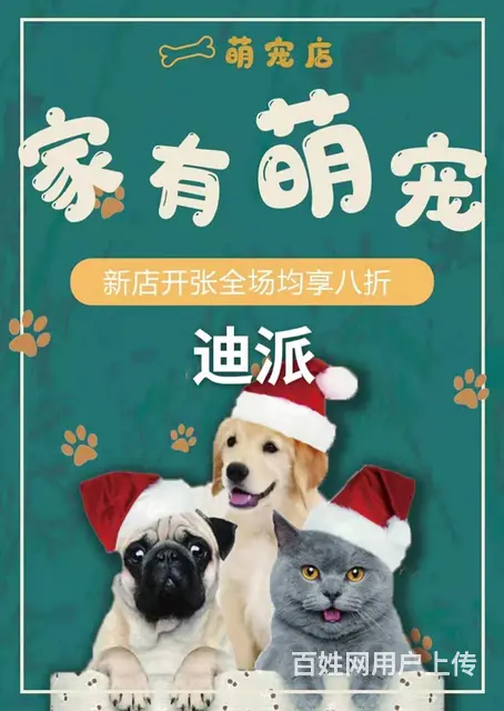 沈阳平面设计培训 0基础学PS AI CDR软件班 - 图片 7