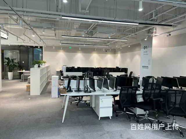 阿里滨江园区 直播基地 豪华装修拎包办公 园区环境优美好招人 - 图片 11