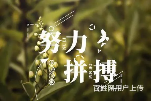 瀚宣博大五年制专转本秋季辅导班开课啦周末全天上课 - 图片