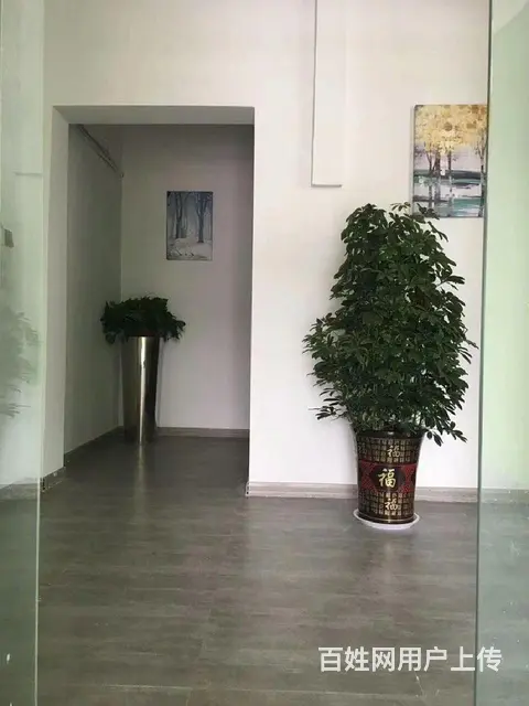 吾悦广场旁，单身公寓一室一厅出租。 - 图片 6