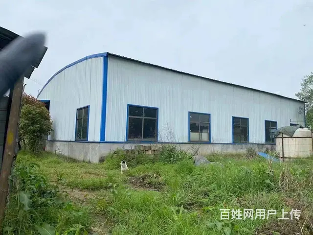 （房东直租）开福区沙坪500平厂房带2000平土地出租 - 图片 1