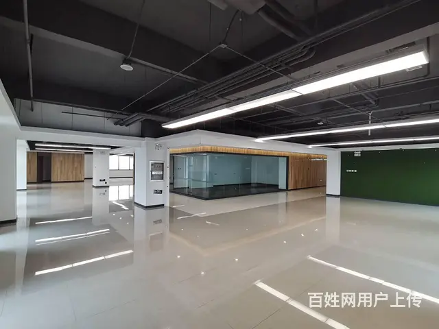 地铁口100米 沈阳国际软件园甲方直租 沈阳浑南写字间 - 图片 8