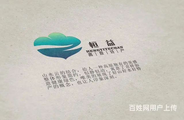 这里有西宁 专业的logo设计师、青海乐舟为您服务 - 图片 3