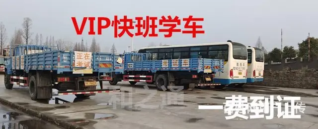 厦门海沧直考A3城市公交车需要哪些条件？ - 图片 7