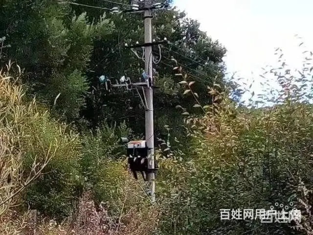 北大岭里面(原铁路青年点)养殖场 - 图片 3