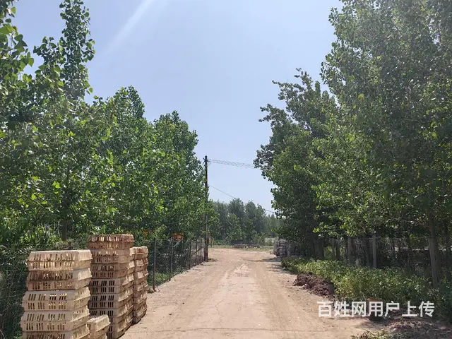 （城市在线找房免费）104国道潘塘高速出入口附近土地出租 - 图片 2