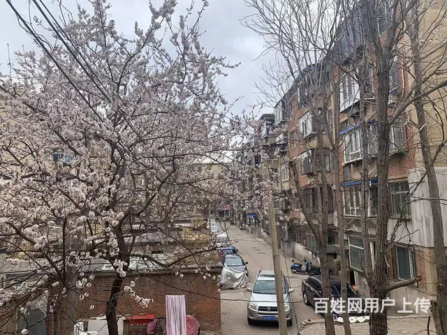 凌河区 吉庆里 6楼多层 千盛购物中心 地一大道 百货大楼 - 图片 11