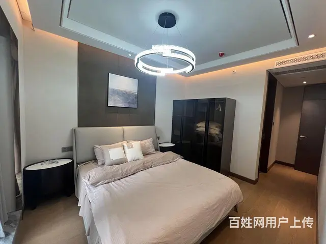真房  降价租 SKP 汉街 融创 带衣帽间大浴缸 - 图片 6