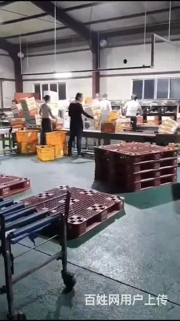 海外工作- 加拿大急招工厂- 分配员 - 图片 2