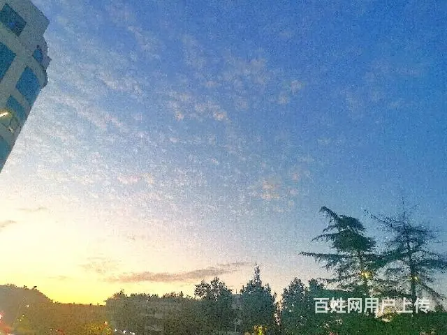 销售助理 - 图片