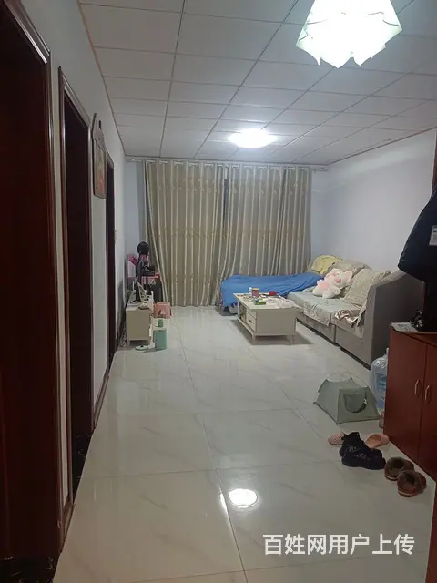 金锣文瑞火腿肠车间西门 - 图片 9