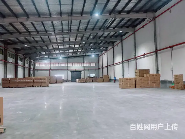 （老板本人）长沙县江背镇标准物流园区厂房/仓库出租 6056 - 图片 5