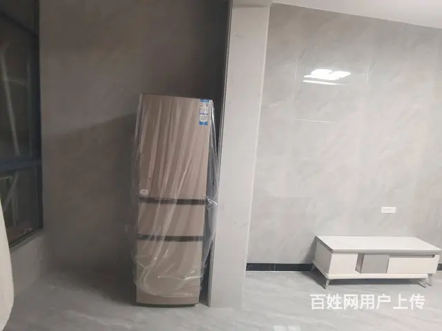 滨江一号 普通住宅1厅 精装修 - 图片 2