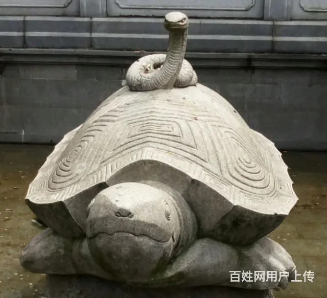 石雕龟#动物雕塑#园林摆件 - 图片 3