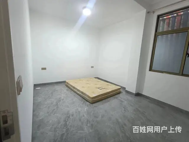 （51旺铺推荐）凤凰路400平整栋出租 - 图片 5