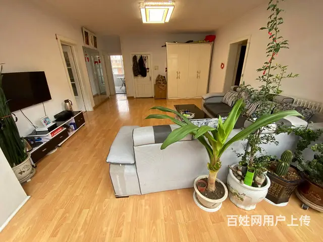 烟草家属楼 普通住宅 精装修 - 图片 6