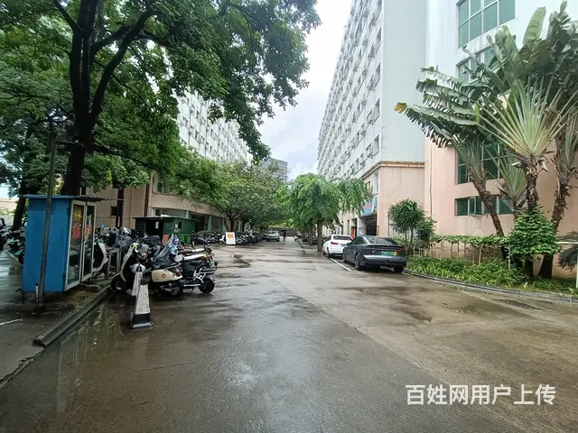 （51旺铺推荐）龙昆南60平学校档口转让 - 图片 3
