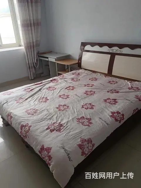  - 图片 6
