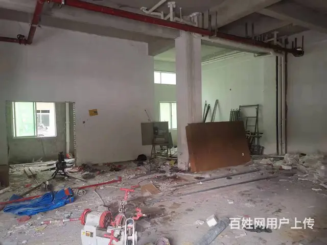 （51旺铺推荐）金鸡岭180平店铺出租 - 图片 1