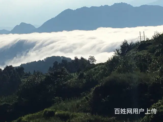 尧龙云海避暑房装修现房出售 - 图片 3
