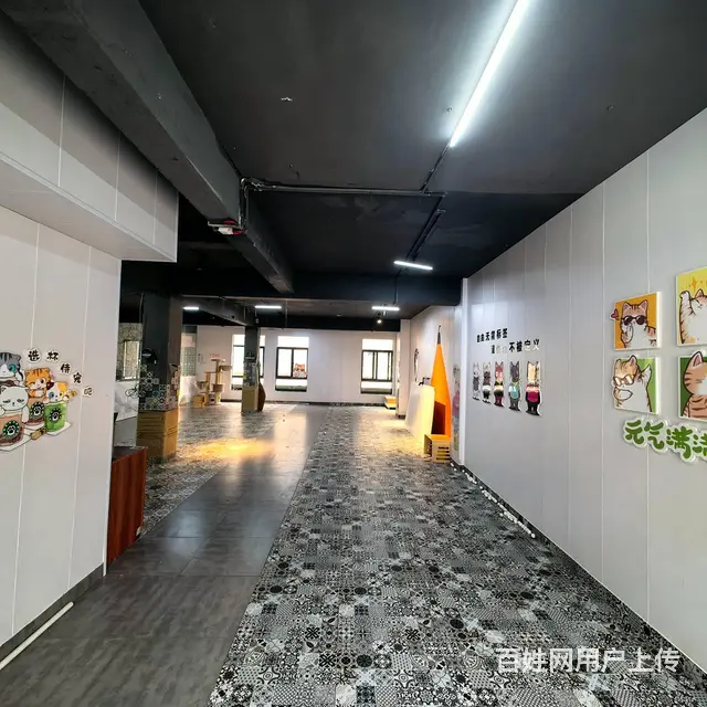 （51旺铺推荐）金鸡岭路金和商城226平铺面出租 - 图片 2