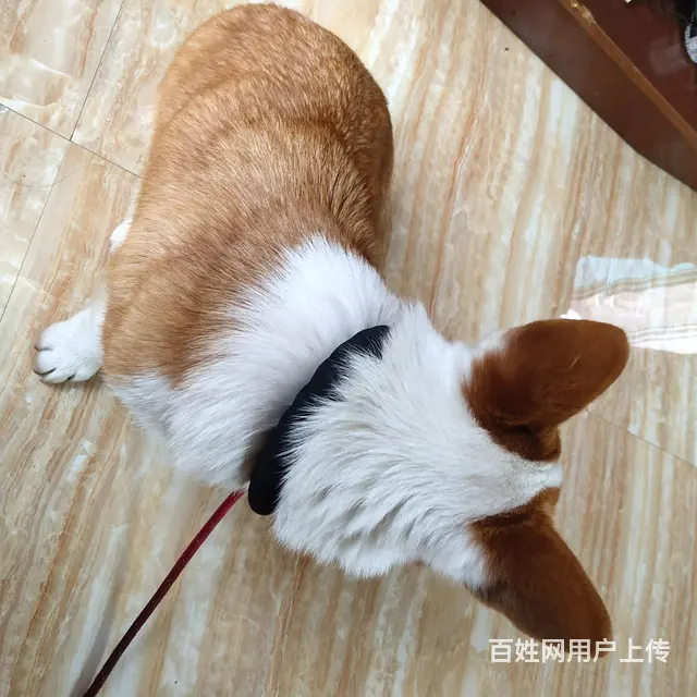 线下交易 - 图片 2