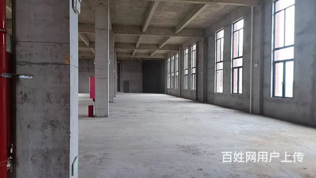 常州天宁区12米挑高园区全新厂房出售 - 图片 7