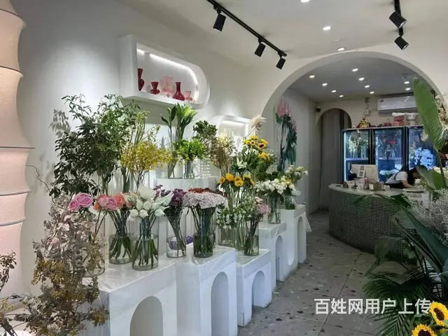 （兴铺）跃进路长虹国际城转角花店整转空转 - 图片 4