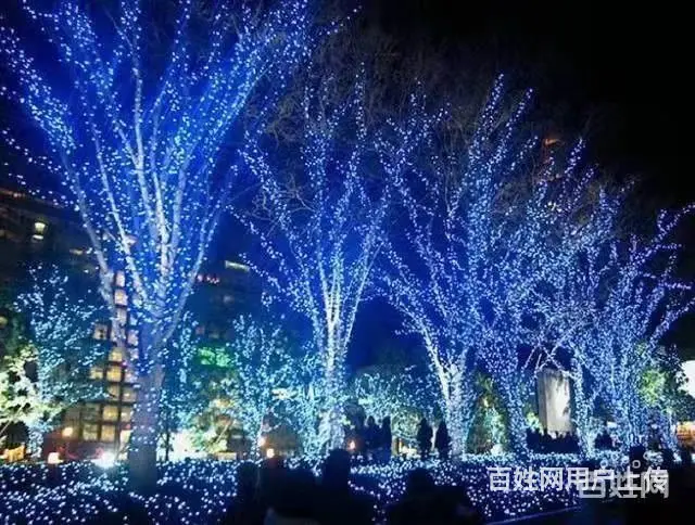 园林景观亮化，桥梁亮化，城市楼体亮化，亮化工程施工 - 图片 3