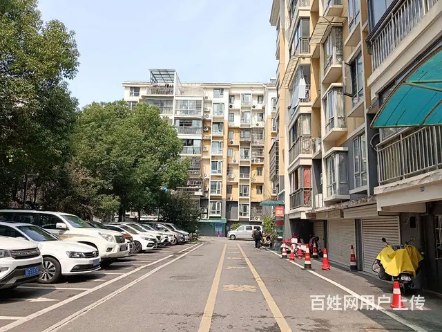 胜利三路三大中区北山花园，精装一室一厅，便宜出租 - 图片 8
