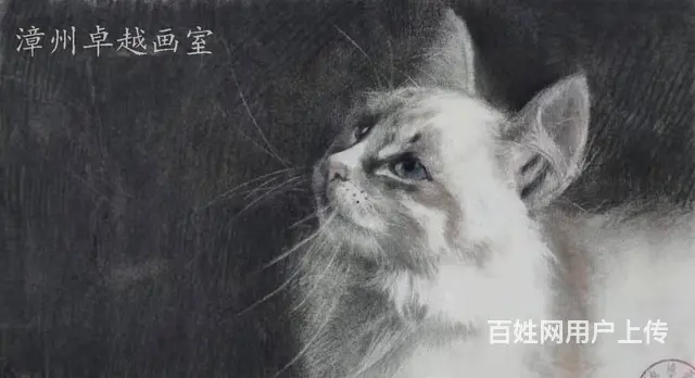 漳州卓越画室少儿美术老师 - 图片 6