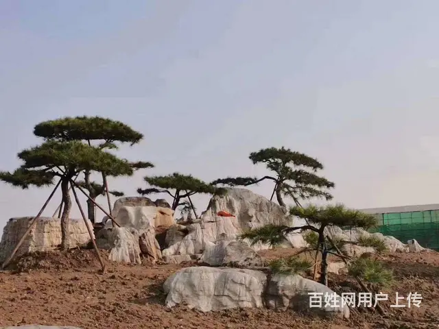 徐州锦鲤鱼池净化系统，假山太湖石假山设计安装制做 - 图片 11