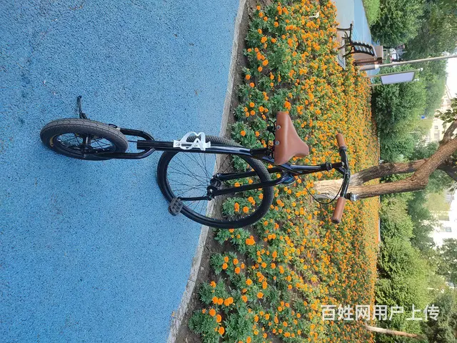 黑龙江只有一台 - 图片 4