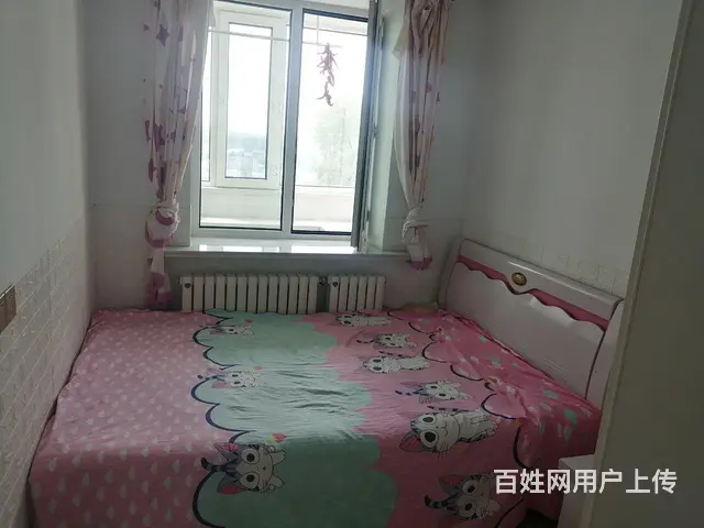 急卖:地址向阳区北山街道北苑明珠小区401室62平11万， - 图片 9