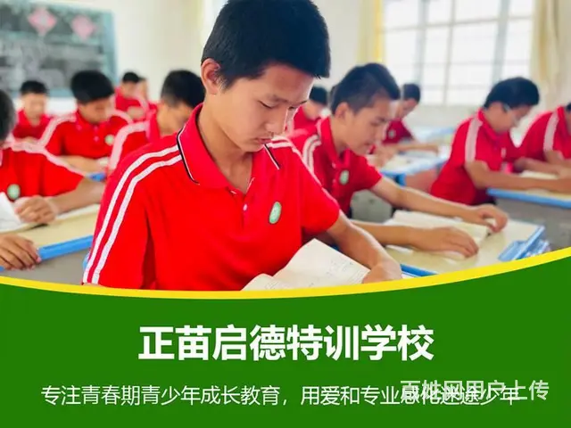 江西宜春叛逆孩子训练营|叛逆小孩特训营 - 图片 6