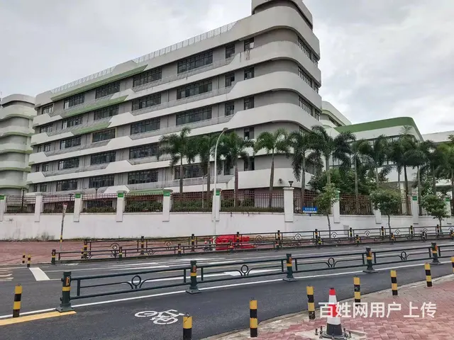 （51旺铺推荐）金宇学校对面黄金商铺招租（580平可分可整） - 图片 10