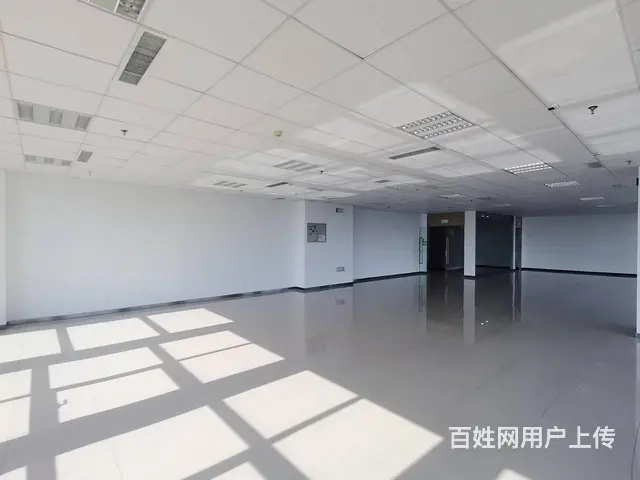 甲方招商 250平双向采光 送免租期停车位 沈阳国际软件园 - 图片 6