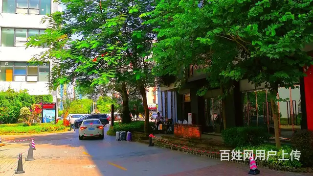 （房东租）南屏138平写字楼直租采光佳 价格可议 - 图片 10