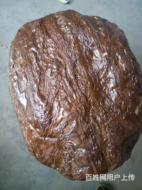 收藏珍品 天然木化石 - 图片 2