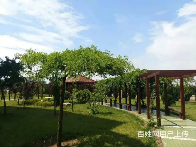荣成君澜湾 天然氧吧 一线海景房带精装修 拎包入住 - 图片 8